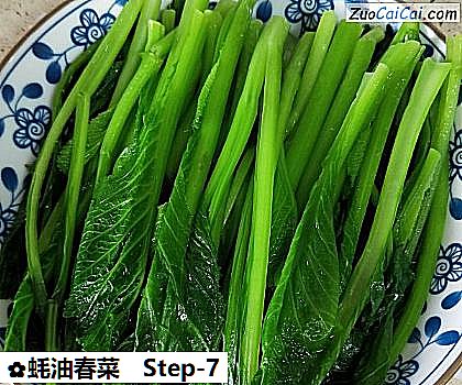 蚝油春菜做法第七步骤