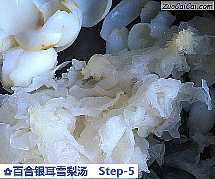 百合银耳雪梨汤做法第五步骤