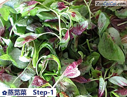 蒸苋菜做法第一步骤