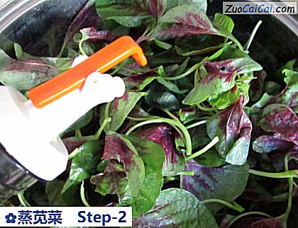 蒸苋菜做法第二步骤