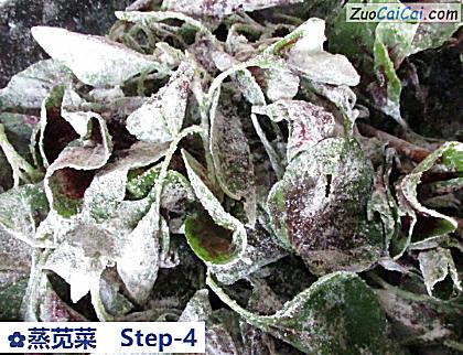 蒸苋菜做法第四步骤