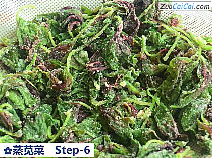 蒸苋菜做法第六步骤