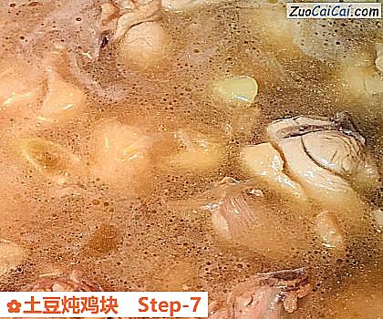 土豆炖鸡块做法第七步骤