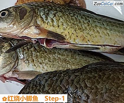 红烧小鲫鱼做法第一步骤