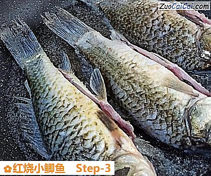 红烧小鲫鱼做法第三步骤