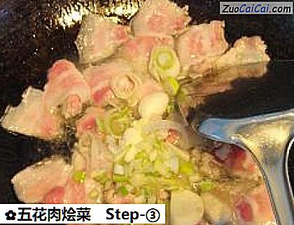五花肉烩菜做法第三步骤