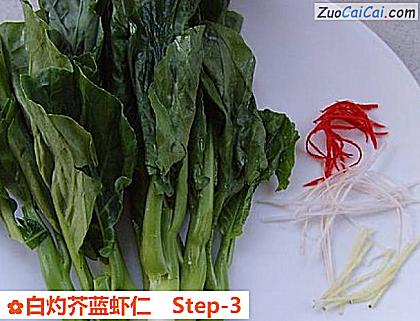 白灼芥蓝虾仁做法第三步骤