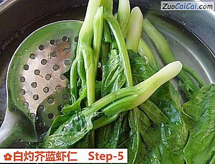 白灼芥蓝虾仁做法第五步骤