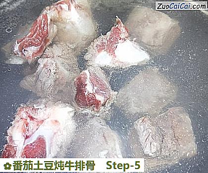 番茄土豆炖牛排骨做法第五步骤