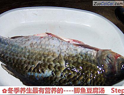 鲫鱼豆腐汤做法第一步骤