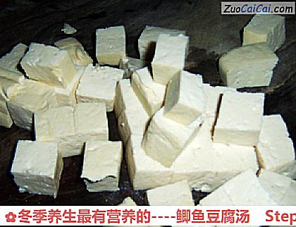 鲫鱼豆腐汤做法第二步骤