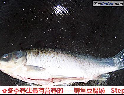 鲫鱼豆腐汤做法第三步骤