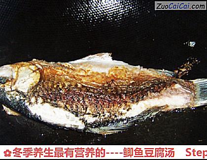 鲫鱼豆腐汤做法第四步骤