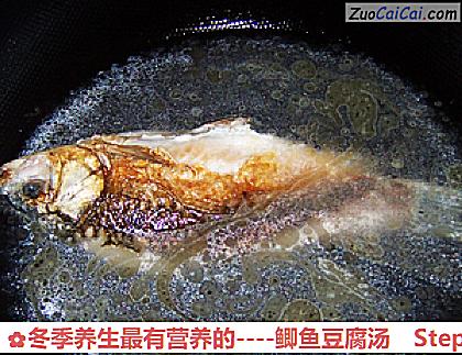 鲫鱼豆腐汤做法第五步骤