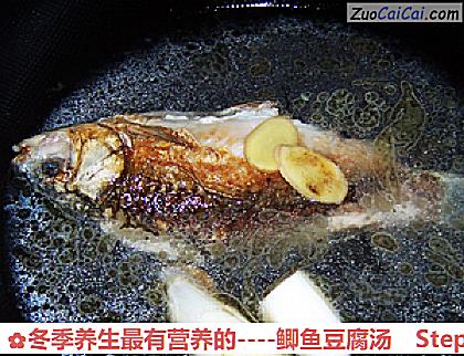 鲫鱼豆腐汤做法第六步骤