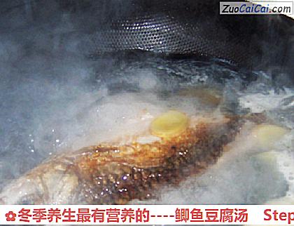 鲫鱼豆腐汤做法第七步骤