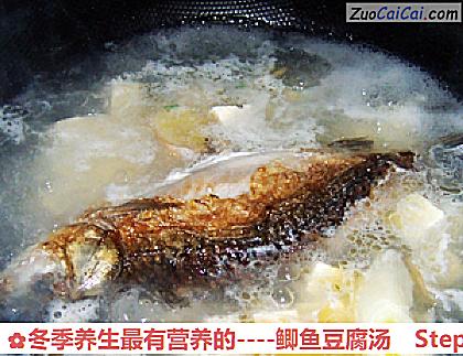 鲫鱼豆腐汤做法第八步骤