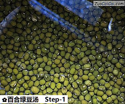 百合绿豆汤做法第一步骤