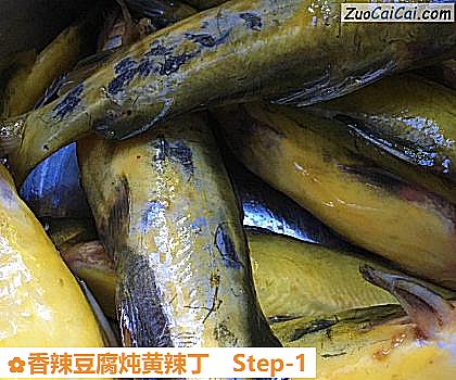 香辣豆腐炖黄辣丁做法第一步骤