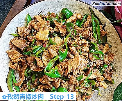 孜然青椒炒肉做法第十三步骤