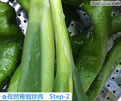 孜然青椒炒肉做法第二步骤