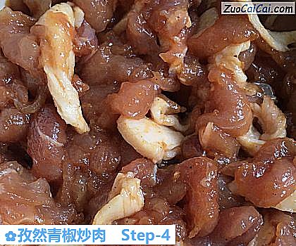 孜然青椒炒肉做法第四步骤