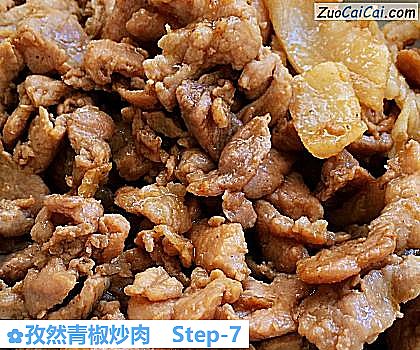 孜然青椒炒肉做法第七步骤