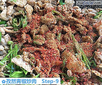 孜然青椒炒肉做法第九步骤