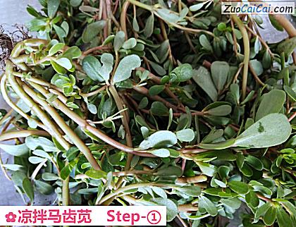 凉拌马齿苋做法第一步骤