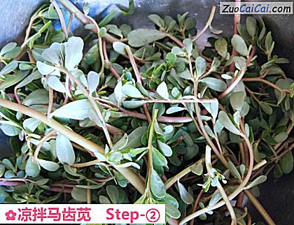 凉拌马齿苋做法第二步骤