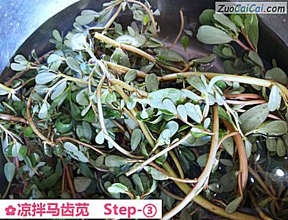 凉拌马齿苋做法第三步骤