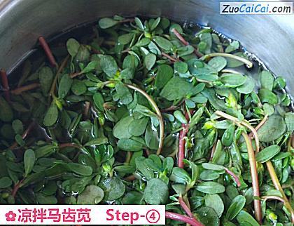 凉拌马齿苋做法第四步骤