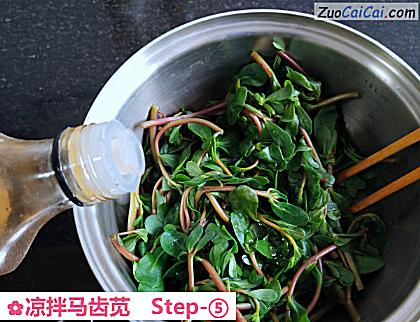 凉拌马齿苋做法第五步骤