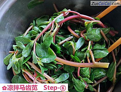 凉拌马齿苋做法第六步骤