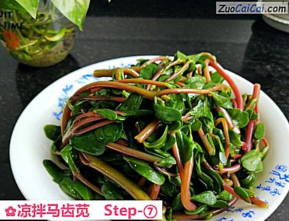 凉拌马齿苋做法第七步骤