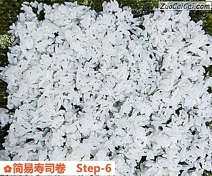 简易寿司卷做法第六步骤