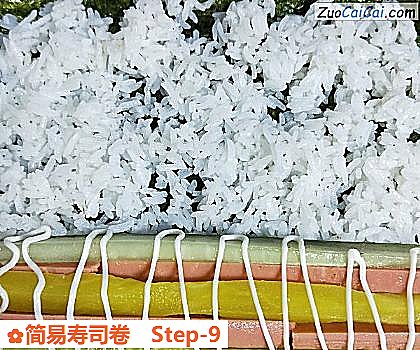 简易寿司卷做法第九步骤