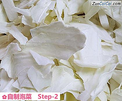 自制泡菜做法第二步骤