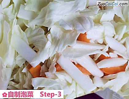 自制泡菜做法第三步骤