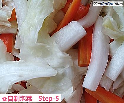 自制泡菜做法第五步骤