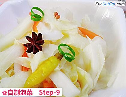 自制泡菜做法第九步骤