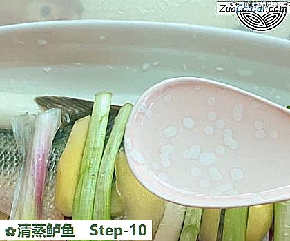 清蒸鲈鱼做法第十步骤