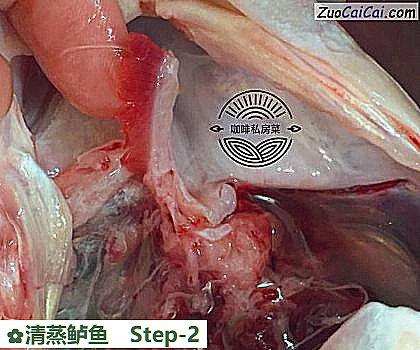 清蒸鲈鱼做法第二步骤