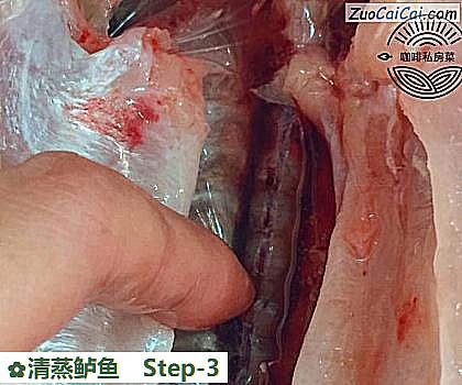 清蒸鲈鱼做法第三步骤