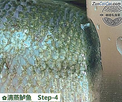 清蒸鲈鱼做法第四步骤