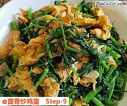 茴香炒鸡蛋做法第九步骤