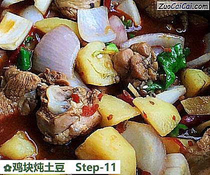 鸡块炖土豆做法第十一步骤