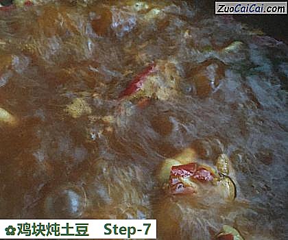 鸡块炖土豆做法第七步骤