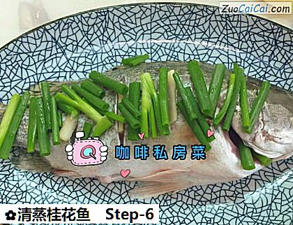 清蒸桂花鱼做法第六步骤