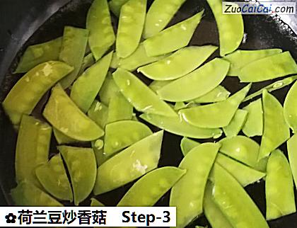荷兰豆炒香菇做法第三步骤